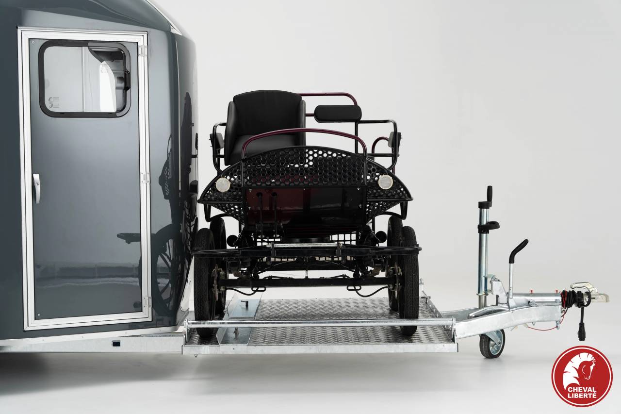 VAN MARATHON CHEVAL LIBERTE PORTE CALECHE