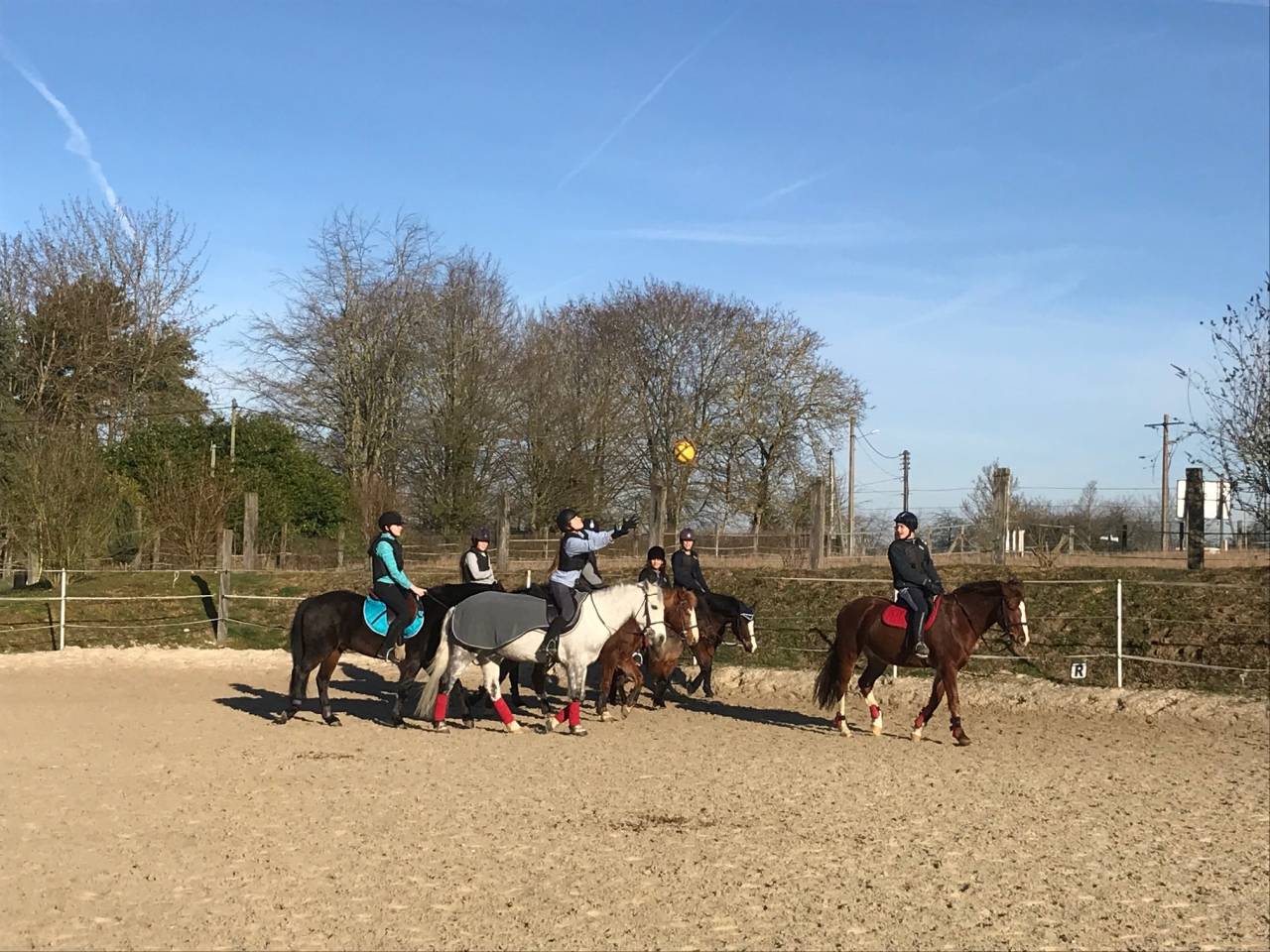 S&eacute;jour equestre - centre &eacute;questre de Montgareux 77