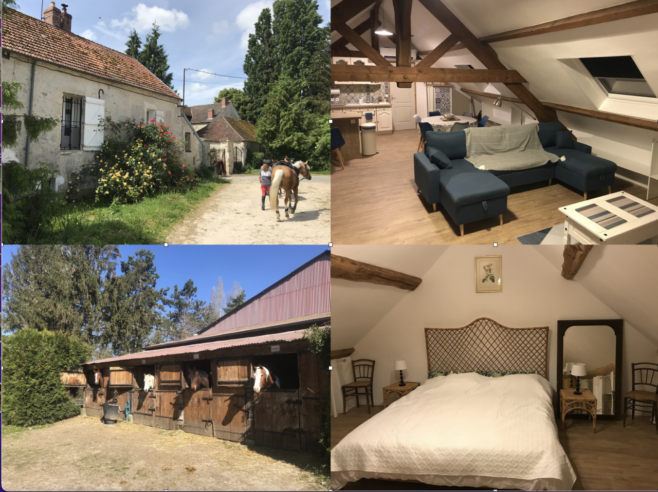 S&eacute;jour equestre - centre &eacute;questre de Montgareux 77