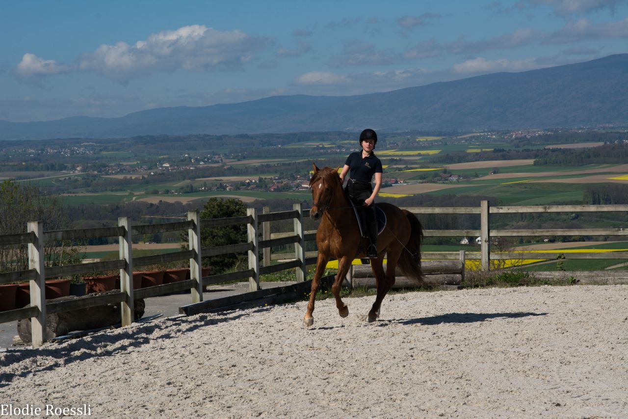 Boxes disponibles dès CHF 1000.00