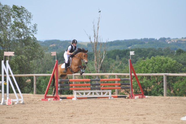 Ponette de sport excellentes origines