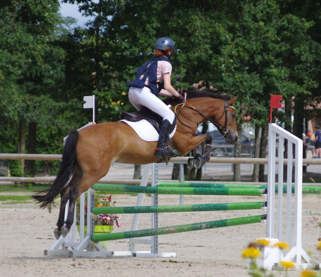 Ponette de sport excellentes origines