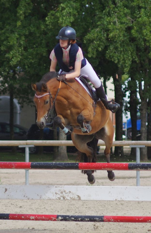 Ponette de sport excellentes origines