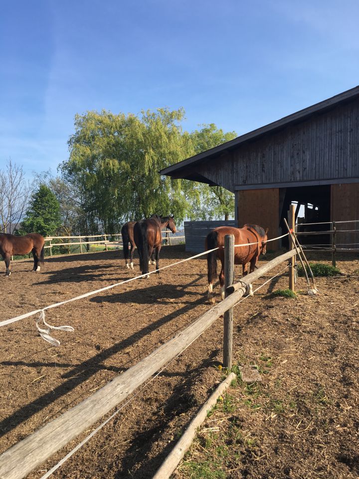 Pension-Retraite Le Ranch Des Saules