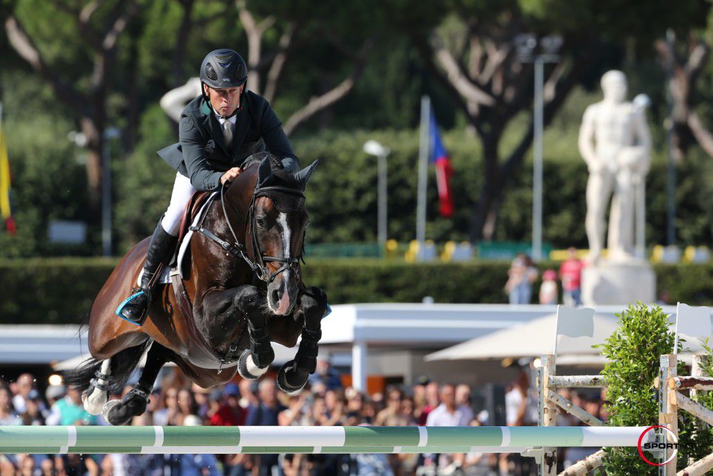 Casall - Holstein - 1999 - bai - 167cm