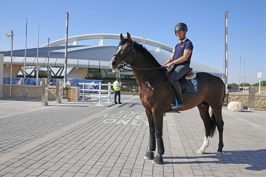 Casall - Holstein - 1999 - bai - 167cm