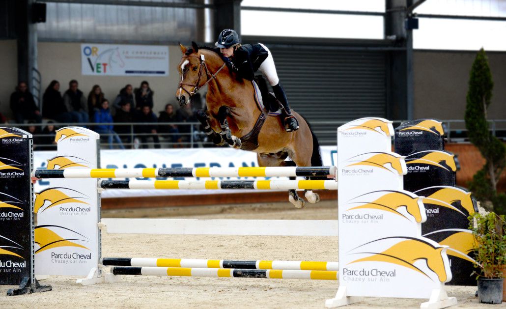 Ugo des Clas - PFS - 2008 - Bai - 150cm