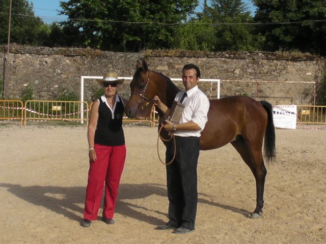 NIGAS DE NAUTIAC - Arabe 2007 par NUREK DE NAUTIAC