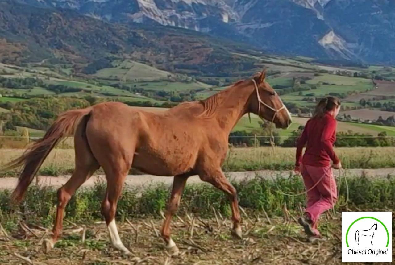Hazyna, une princesse russe, dans l'écoute et l'énergie