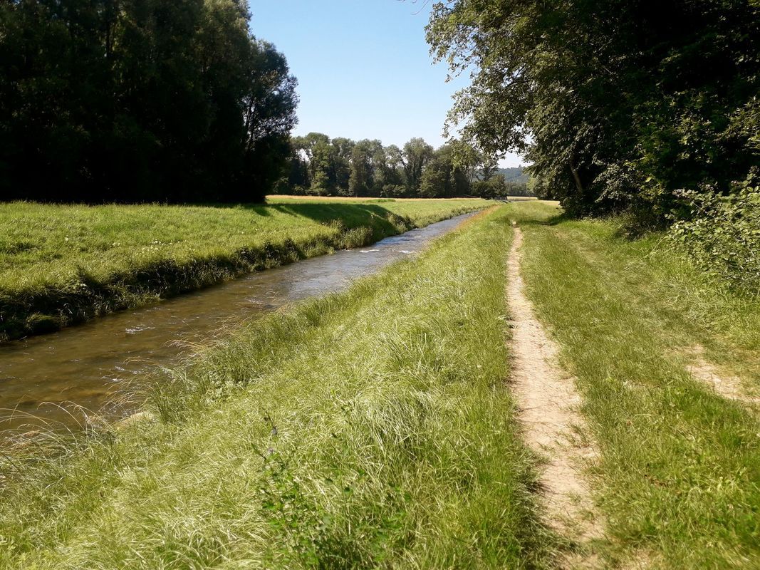 Pension pour chevaux 