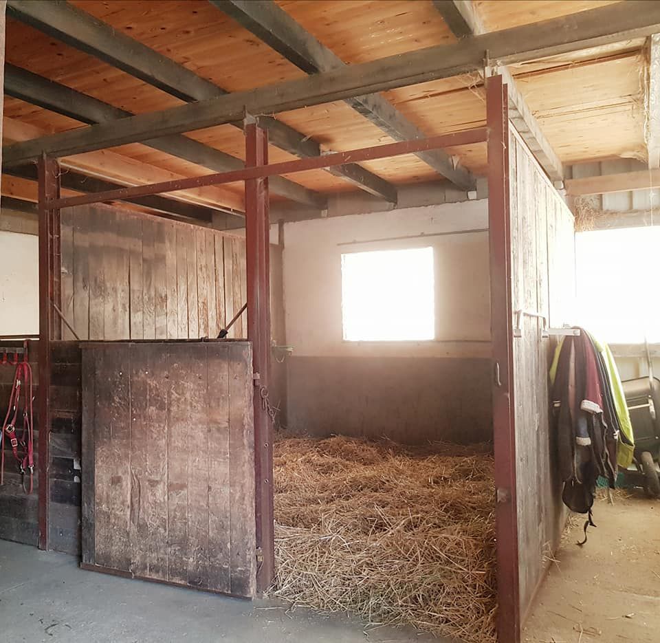 Pension pour chevaux 