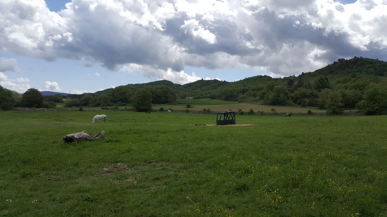 G&icirc;te &eacute;questre 130m2 8 personnes au c&oelig;ur du Lub&eacute;ron