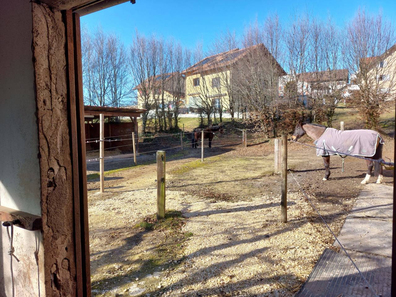 Écurie Failletaz, manège privé. Pension pour chevaux