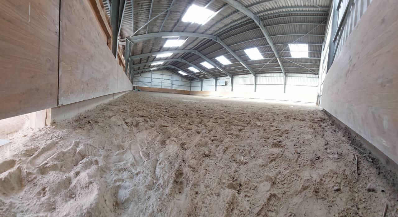 Écurie Failletaz, manège privé. Pension pour chevaux