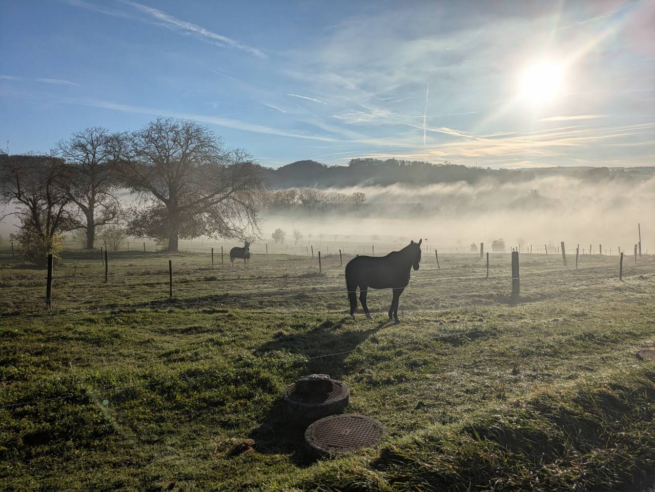 &Eacute;curie Failletaz, man&egrave;ge priv&eacute;. Pension pour chevaux