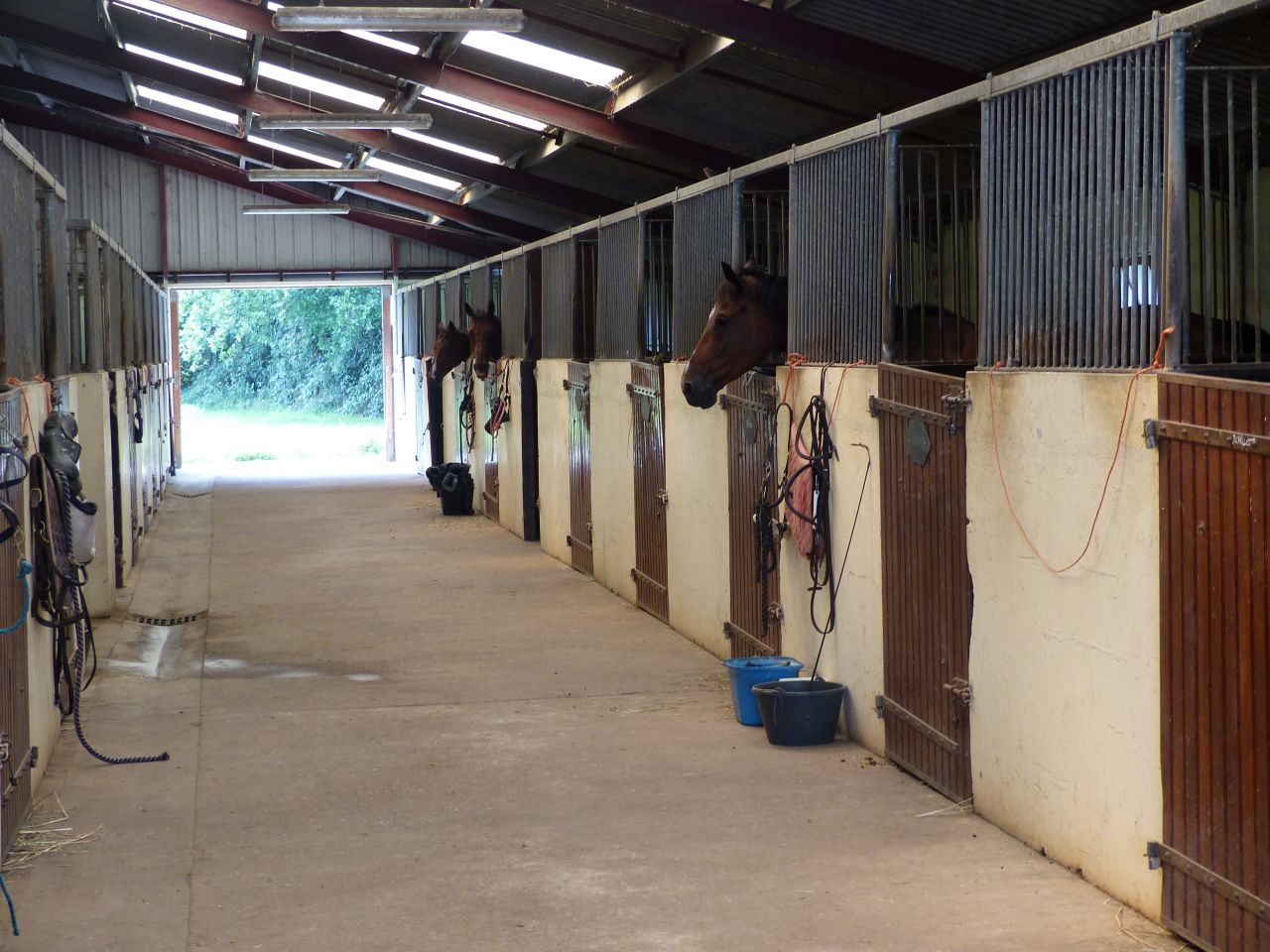 Haras et centre de balnéothérapie sur 15 ha