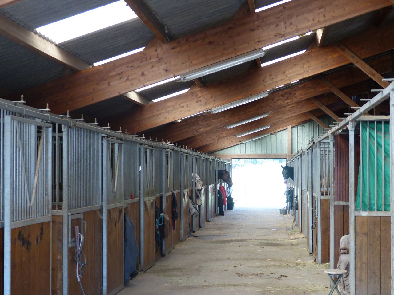 Haras et centre de balnéothérapie sur 15 ha