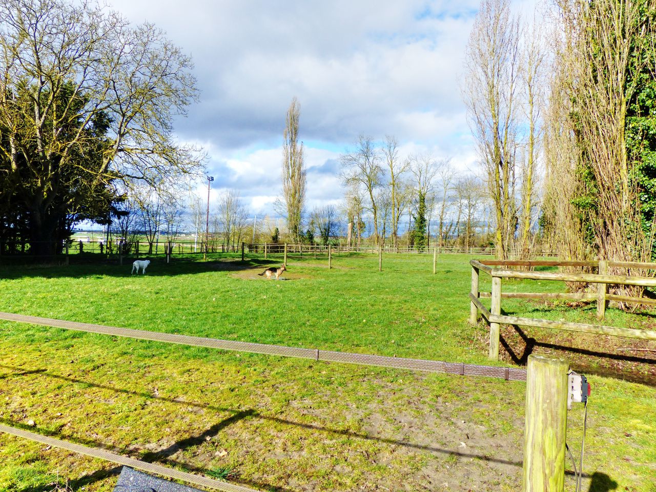 Splendide propriété équestre avec parc 