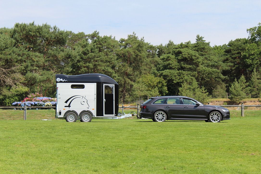 VAN CHEVAL LIBERTE GOLD 3 - NOUVEAUTE 