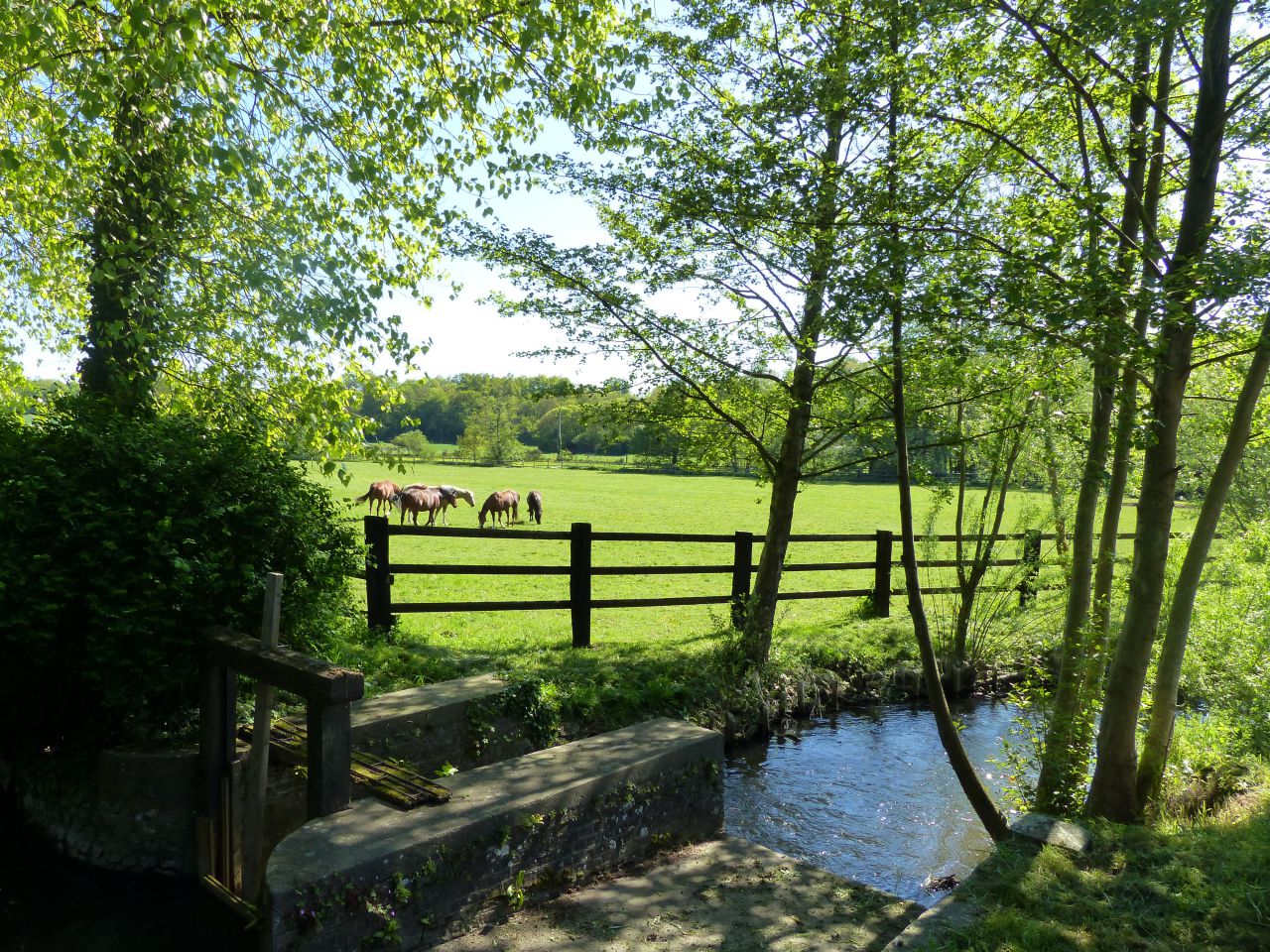 Ancien moulin et écurie de sport sur 17ha - Evreux (27)