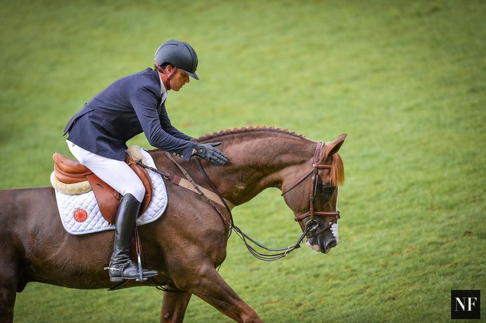 Quabri de l'Isle - SF - Alezan - 170cm