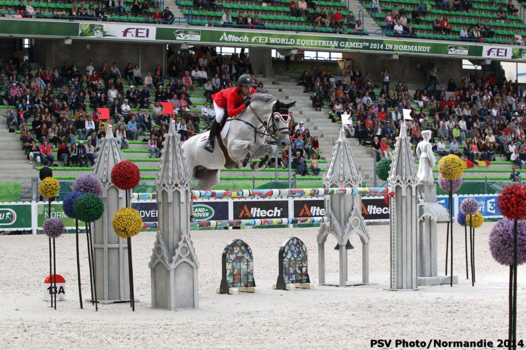 Vingino - KWPN - Gris - 172cm