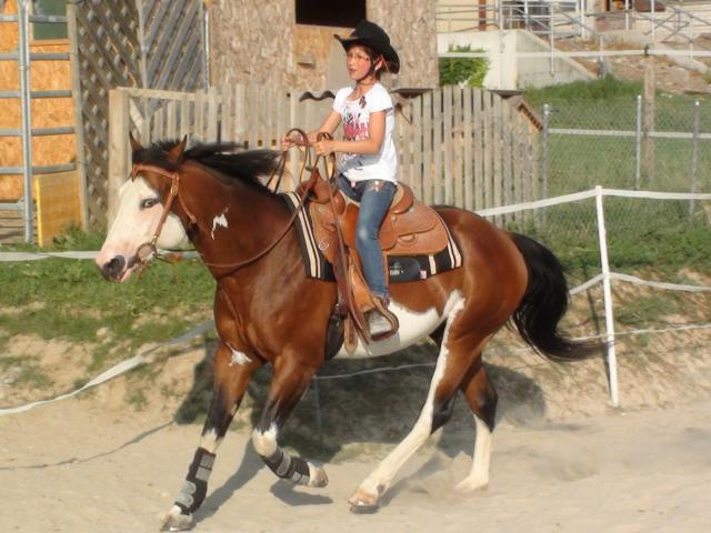 Saillies de Wash Bar Leo, paint horse pleins papiers