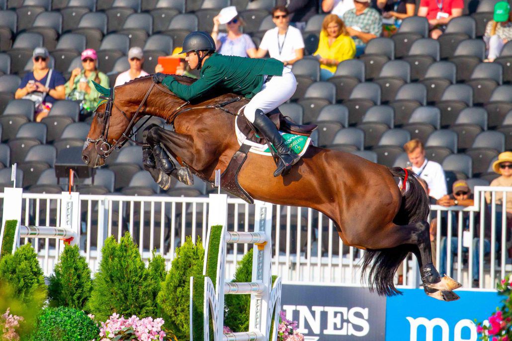 Chaqui Z - Bai - 165cm - 2006