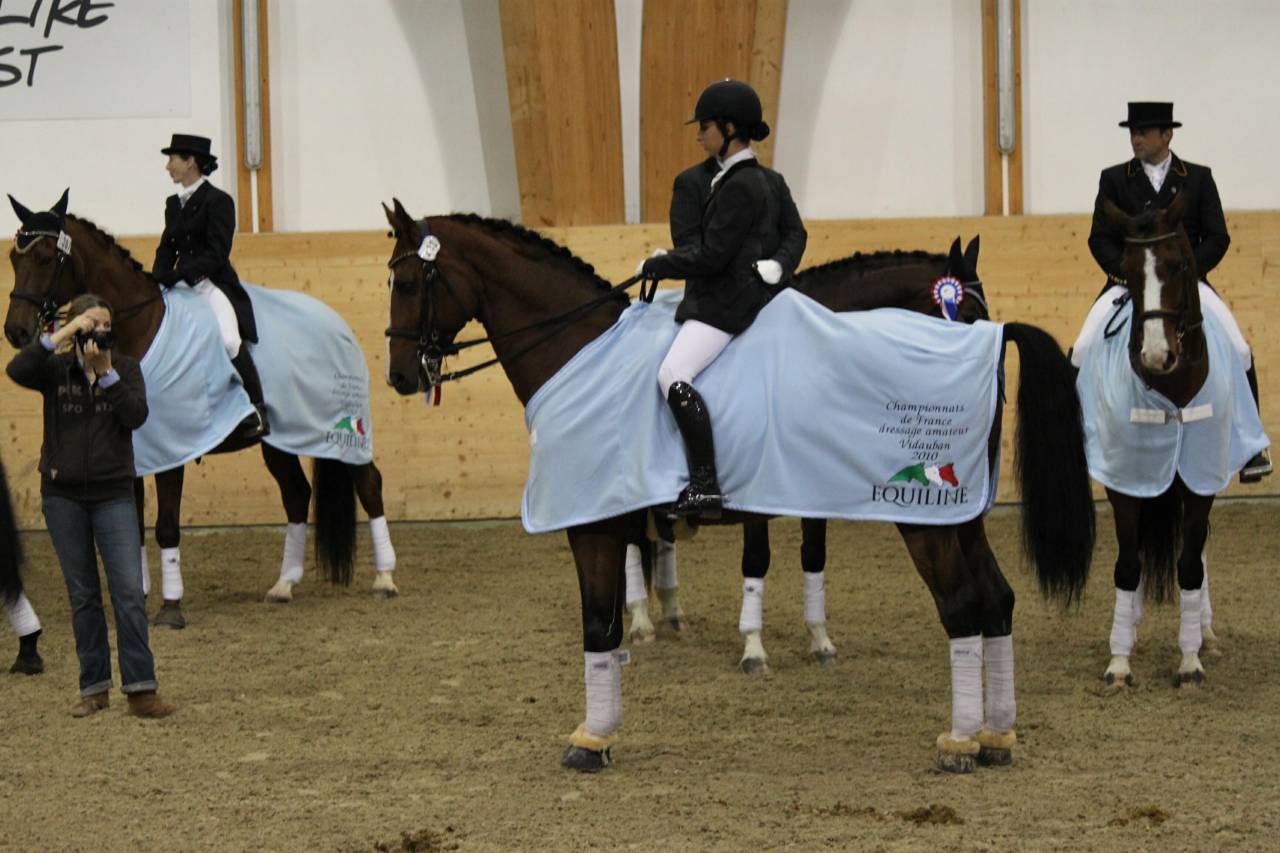 Saillies IAC Don Quichot BWP par Quite Easy & Reina Z