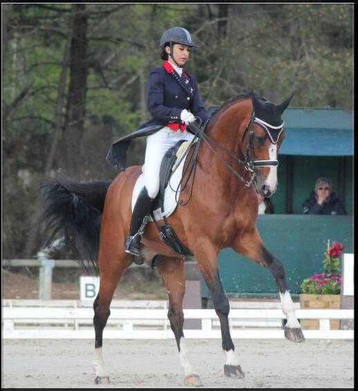 Saillies IAC Don Quichot BWP par Quite Easy & Reina Z