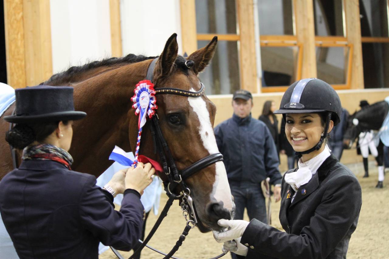 Saillies IAC Don Quichot BWP par Quite Easy & Reina Z