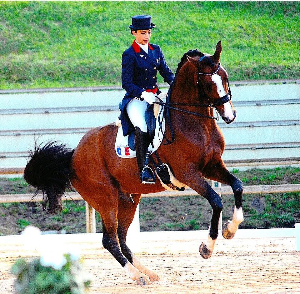 Saillies IAC Don Quichot BWP par Quite Easy & Reina Z