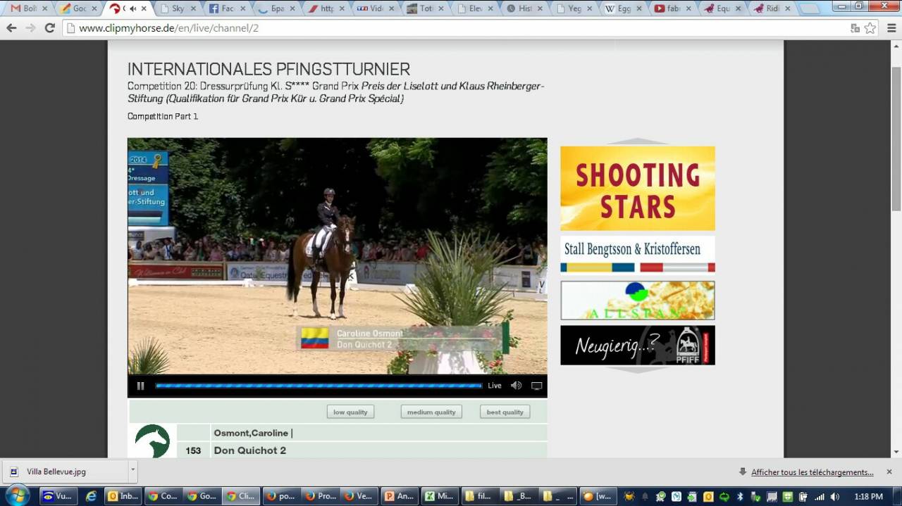 Saillies IAC Don Quichot BWP par Quite Easy & Reina Z