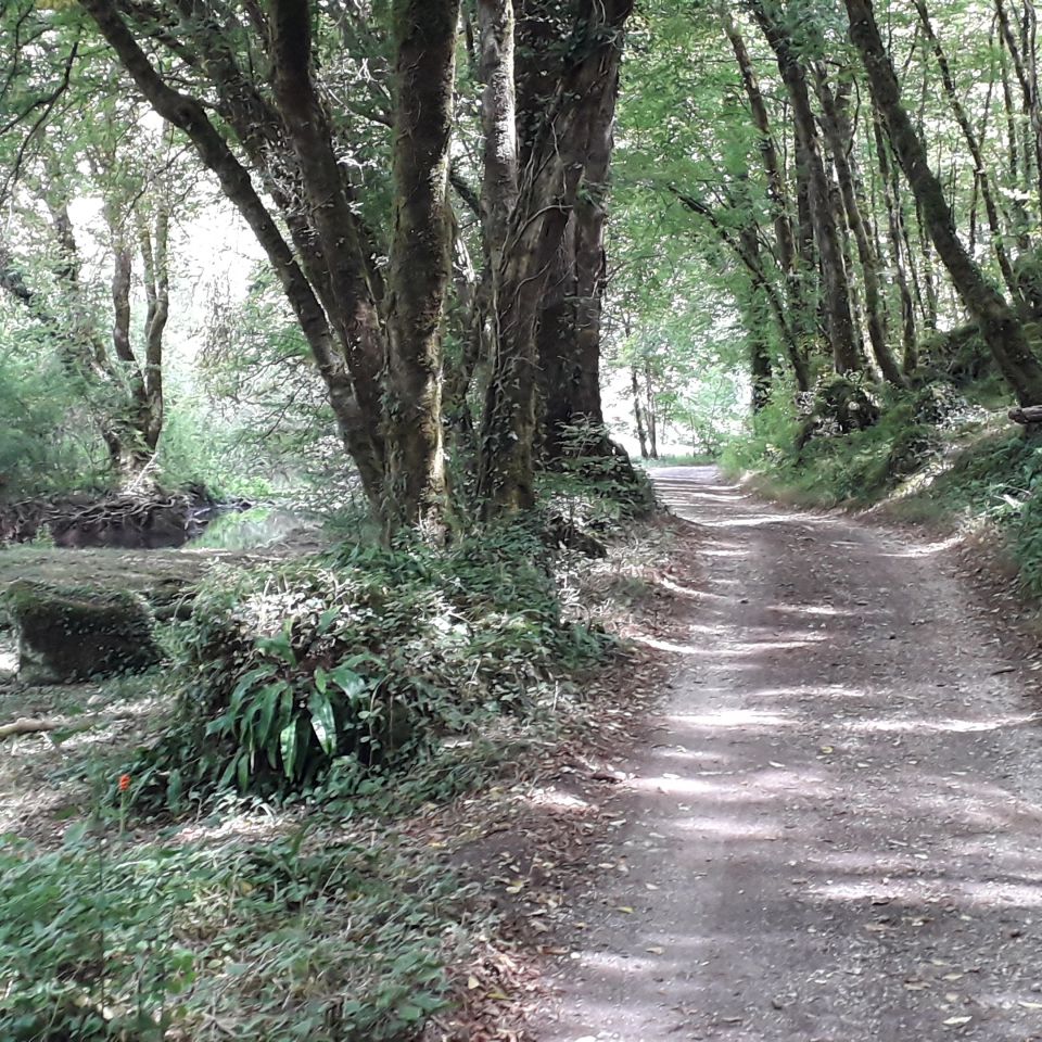 La Dordogne secréte