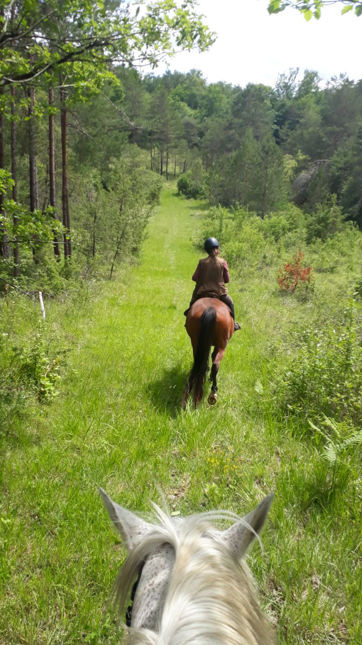 La Dordogne secréte