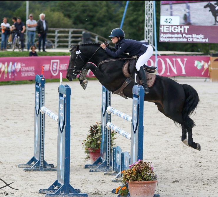 Poulinière suitée NF