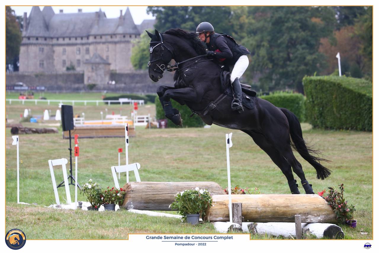 Magnifique Diamant noir SFO Champion de France 7 ans ! 