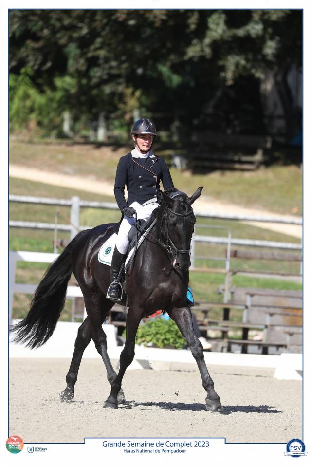 Magnifique Diamant noir SFO Champion de France 7 ans ! 