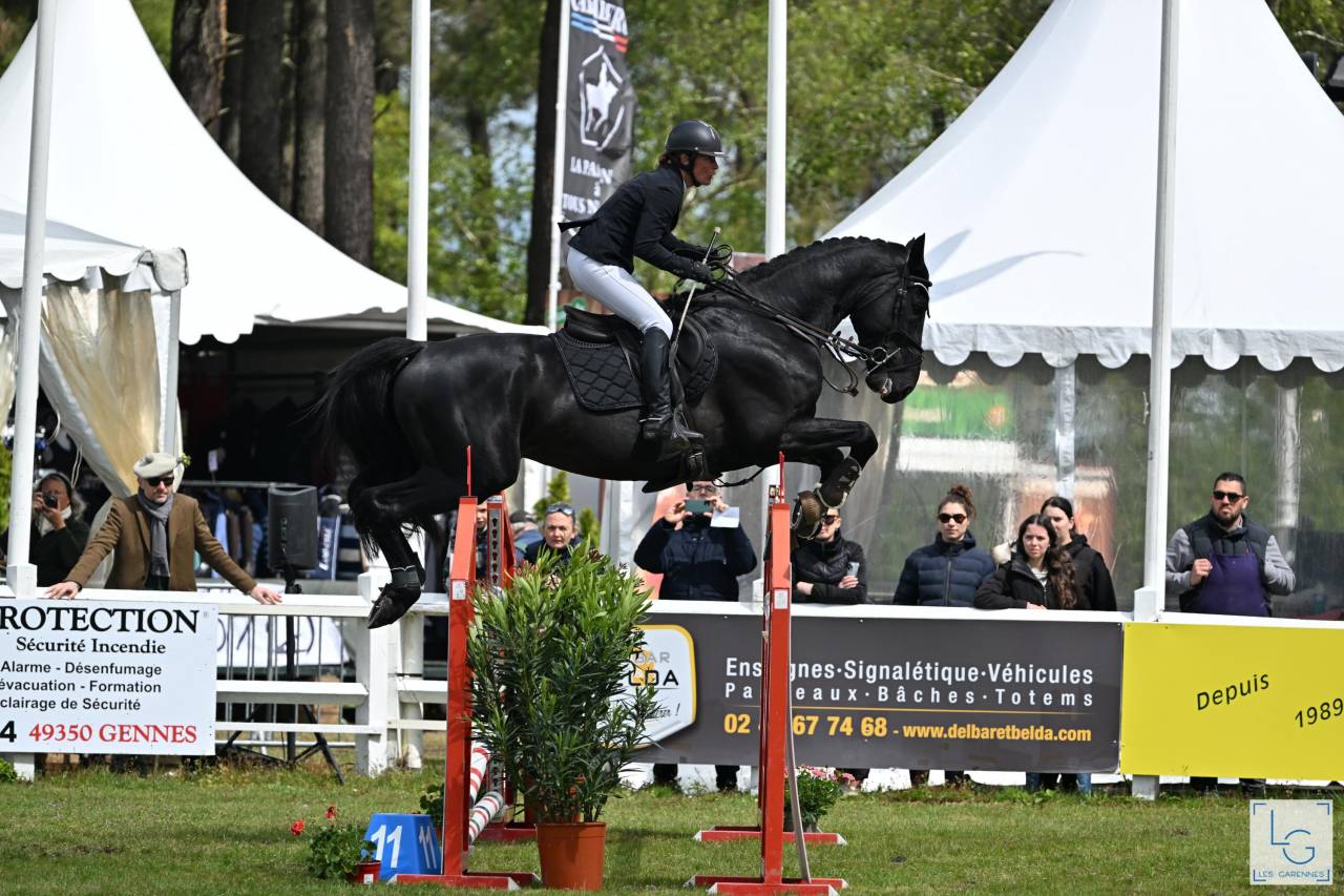 Magnifique Diamant noir SFO Champion de France 7 ans ! 