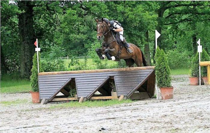 Domaine équestre et habitation aux portes d'Orléans