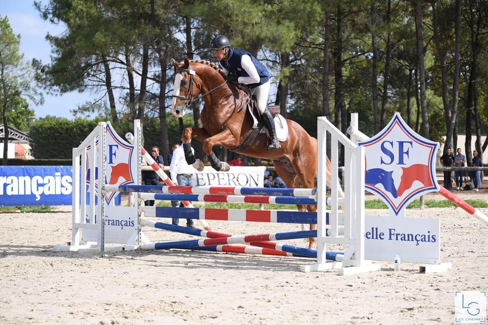 Saillies IAC Etalon approuvé Selle Francais crin lavés 