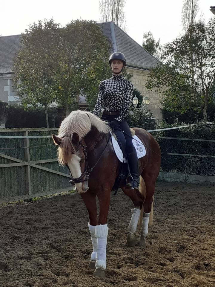 Saillies IAC Etalon approuvé Selle Francais crin lavés 