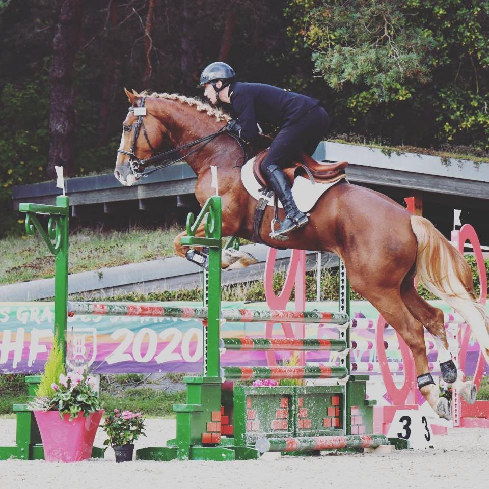 Saillies IAC Etalon approuvé Selle Francais crin lavés 