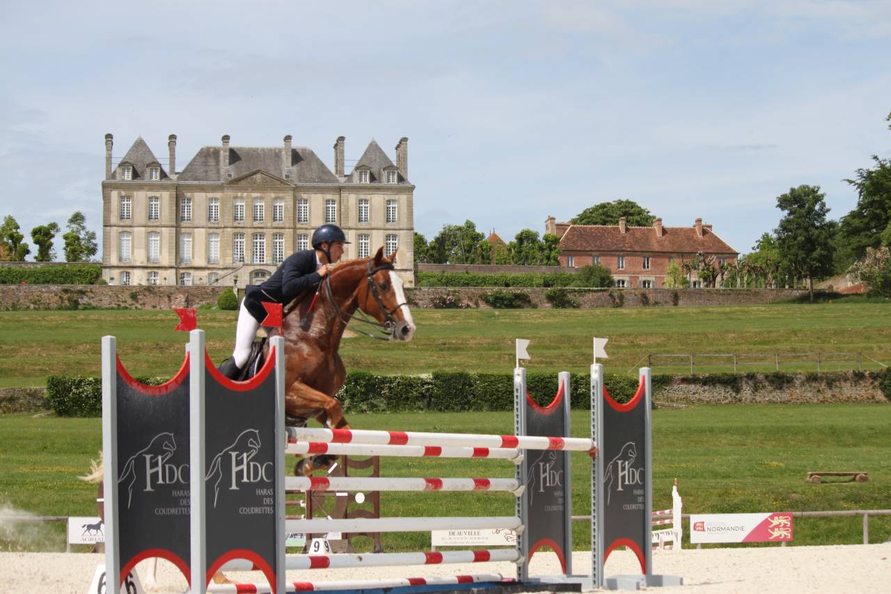 Saillies IAC Etalon approuvé Selle Francais crin lavés 