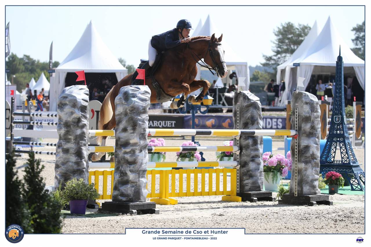 Saillies IAC Etalon approuvé Selle Francais crin lavés 