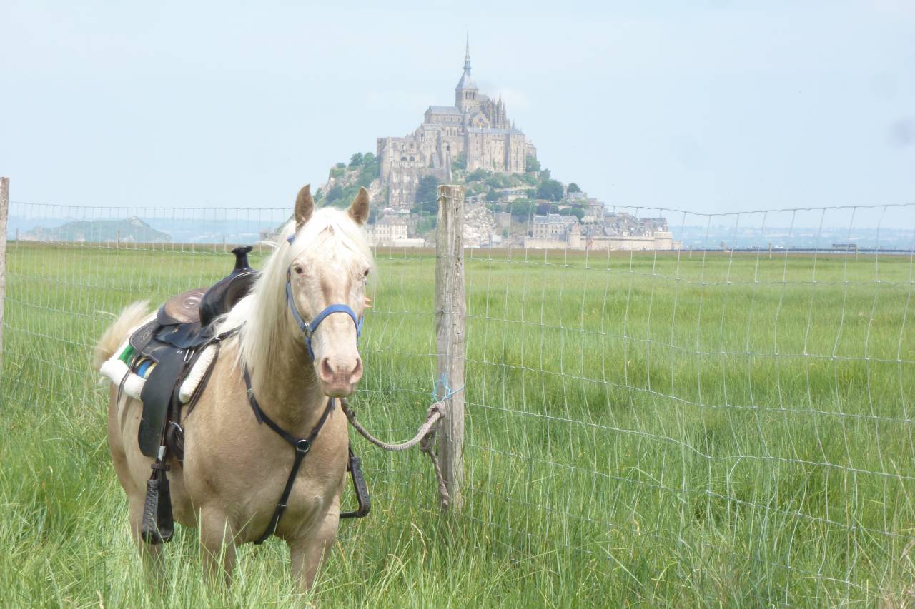 Gite de groupe/équestre baie du Mont St Michel 14 per
