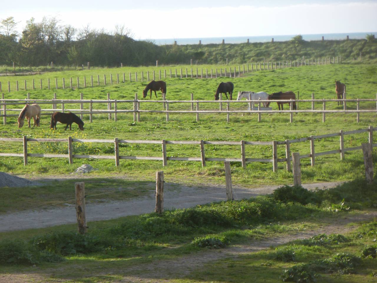 Gite de groupe/équestre baie du Mont St Michel 14 per