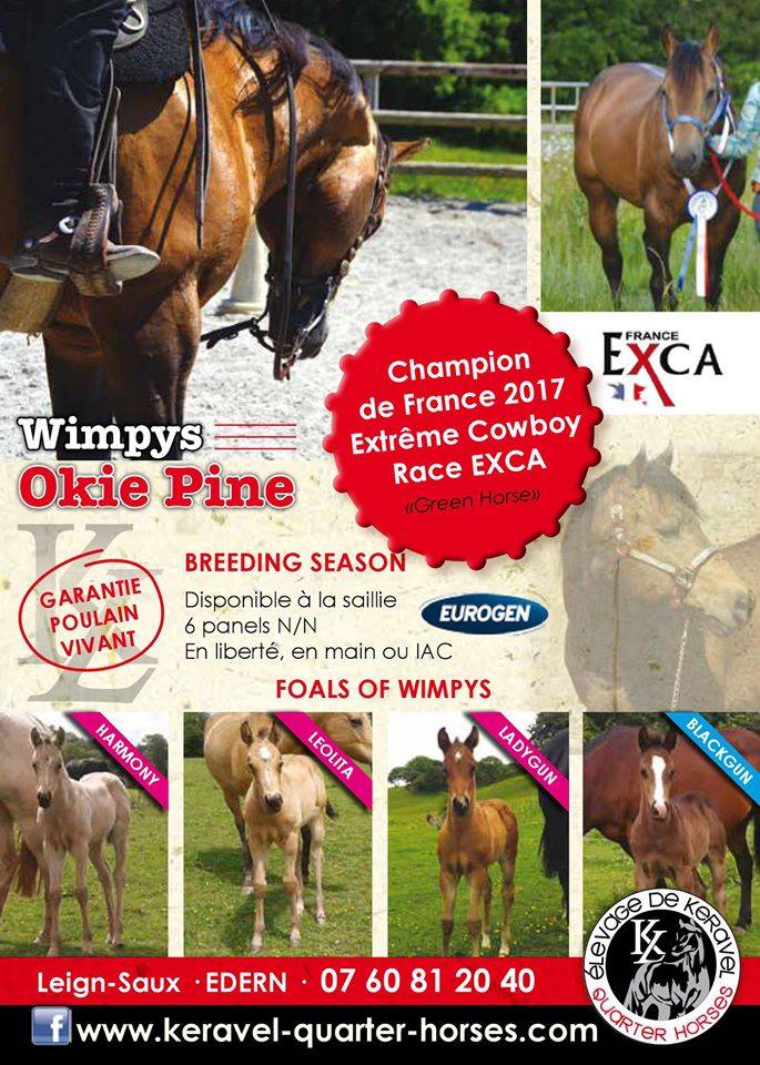 Etalon Quarter Horse Fondation Wimpys Little Step !