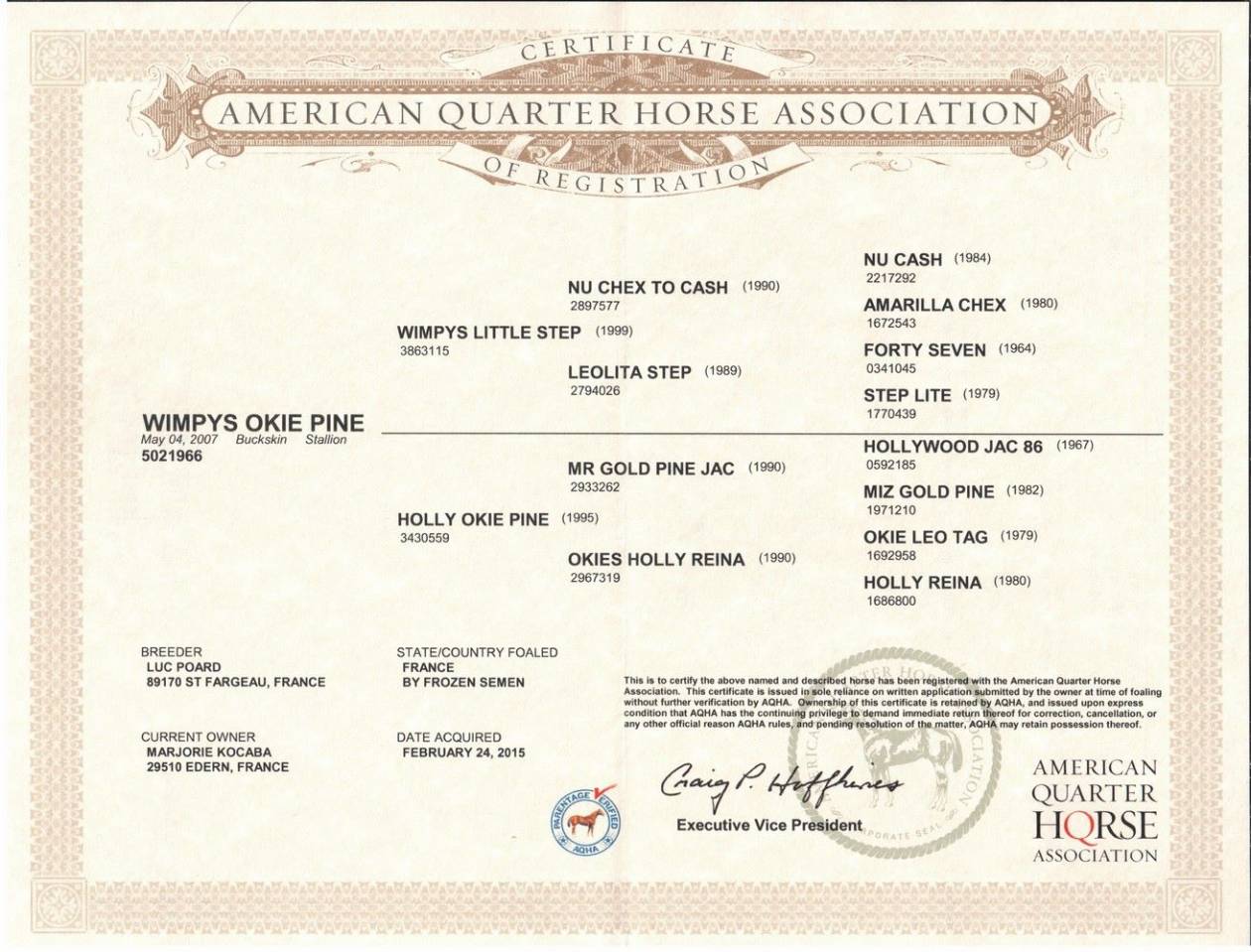 Etalon Quarter Horse Fondation Wimpys Little Step !