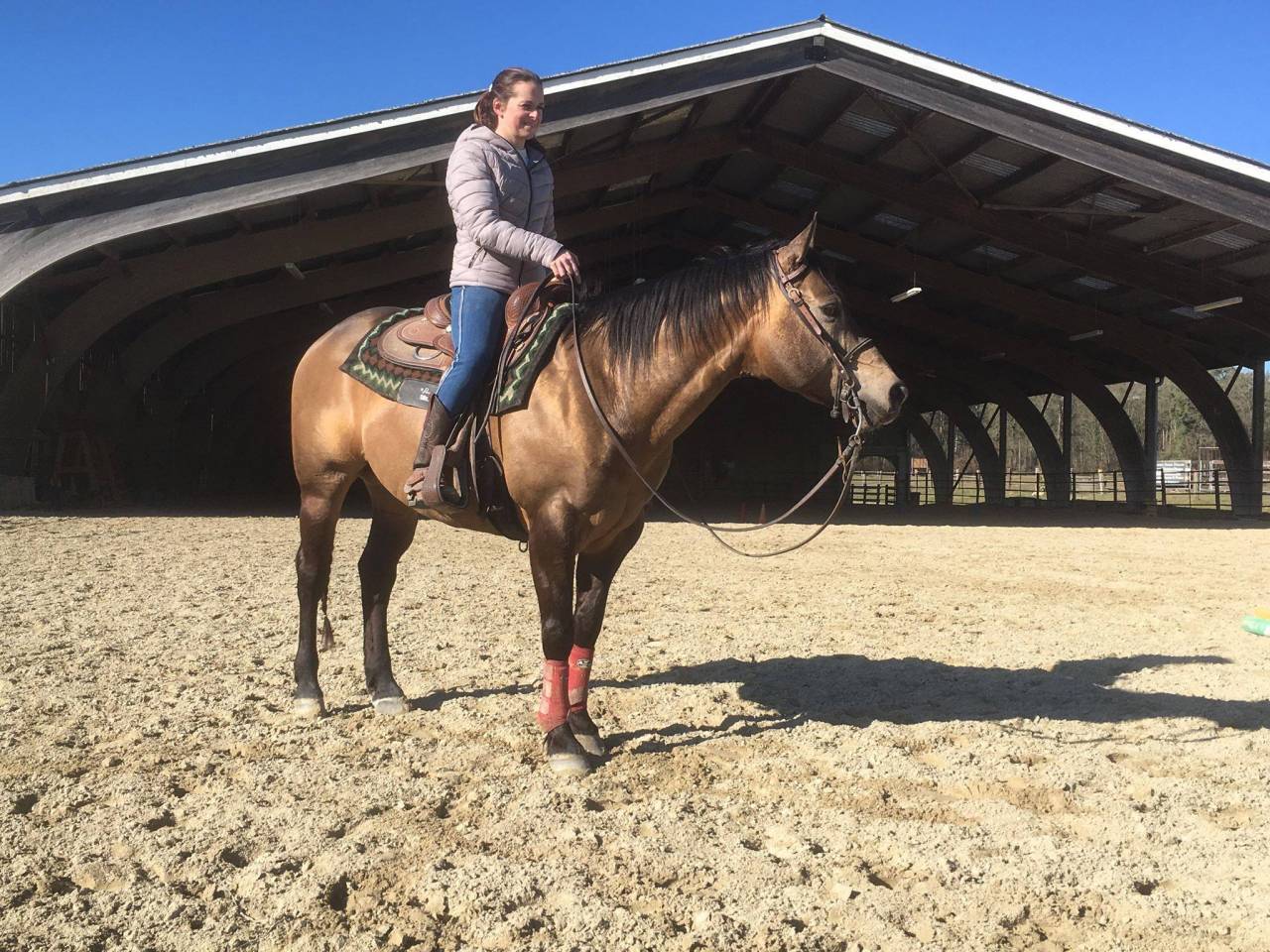 Etalon Quarter Horse Fondation Wimpys Little Step !